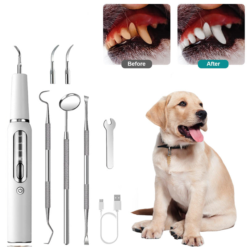 Dispositif de calcul dentaire pour chien, brosse à dents ultrasonique, détartreur électrique pour animaux de compagnie, outil de nettoyage des dents, Plaque, Kit de soins dentaires pour chien et chat