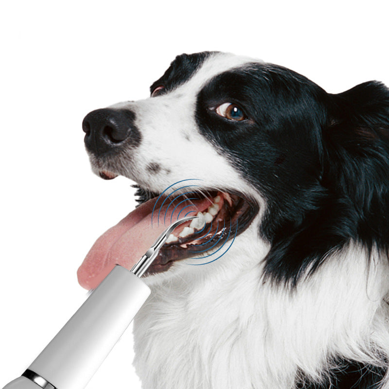 Dispositif de calcul dentaire pour chien, brosse à dents ultrasonique, détartreur électrique pour animaux de compagnie, outil de nettoyage des dents, Plaque, Kit de soins dentaires pour chien et chat
