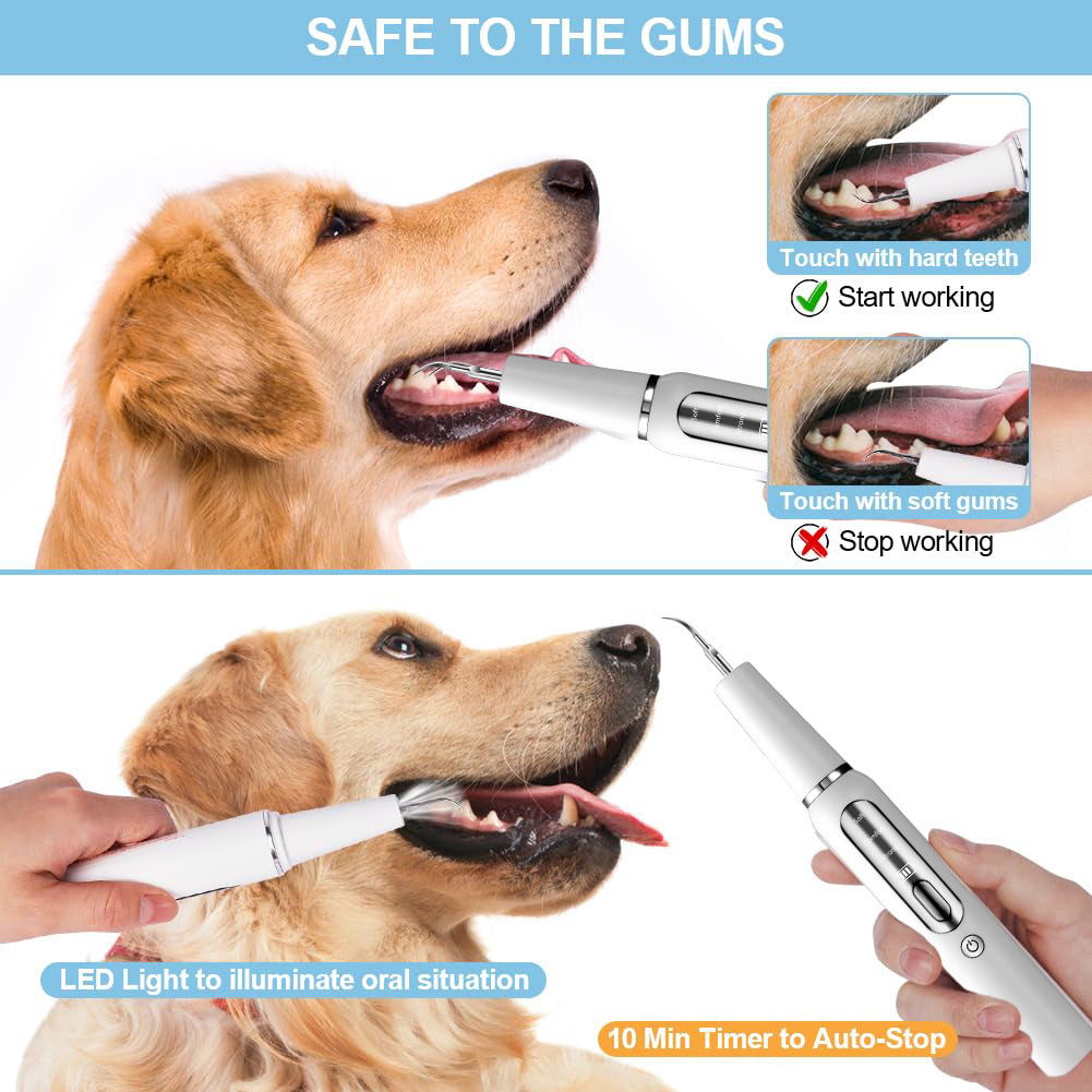 Dispositif de calcul dentaire pour chien, brosse à dents ultrasonique, détartreur électrique pour animaux de compagnie, outil de nettoyage des dents, Plaque, Kit de soins dentaires pour chien et chat