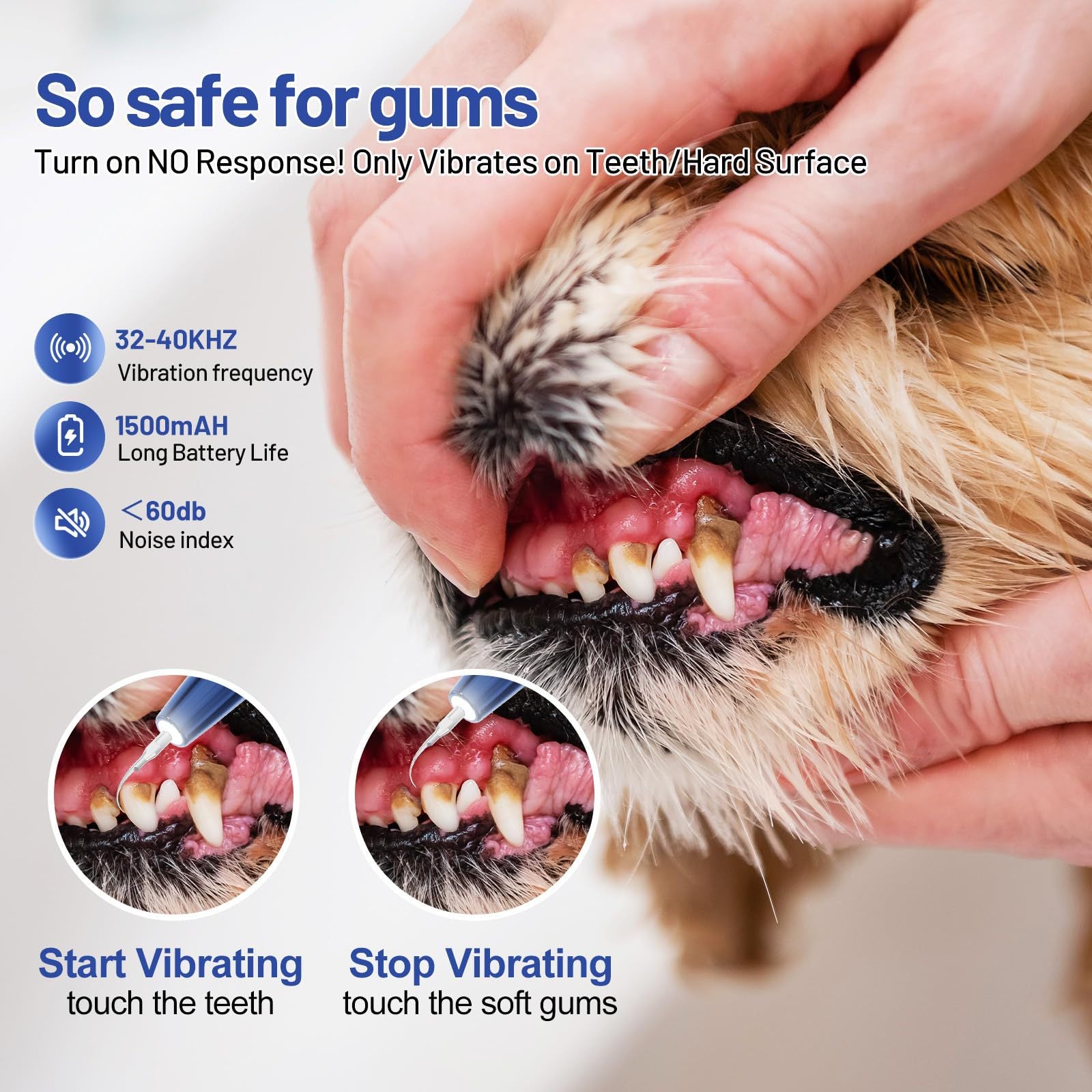 Dispositif de calcul dentaire pour chien, brosse à dents ultrasonique, détartreur électrique pour animaux de compagnie, outil de nettoyage des dents, Plaque, Kit de soins dentaires pour chien et chat