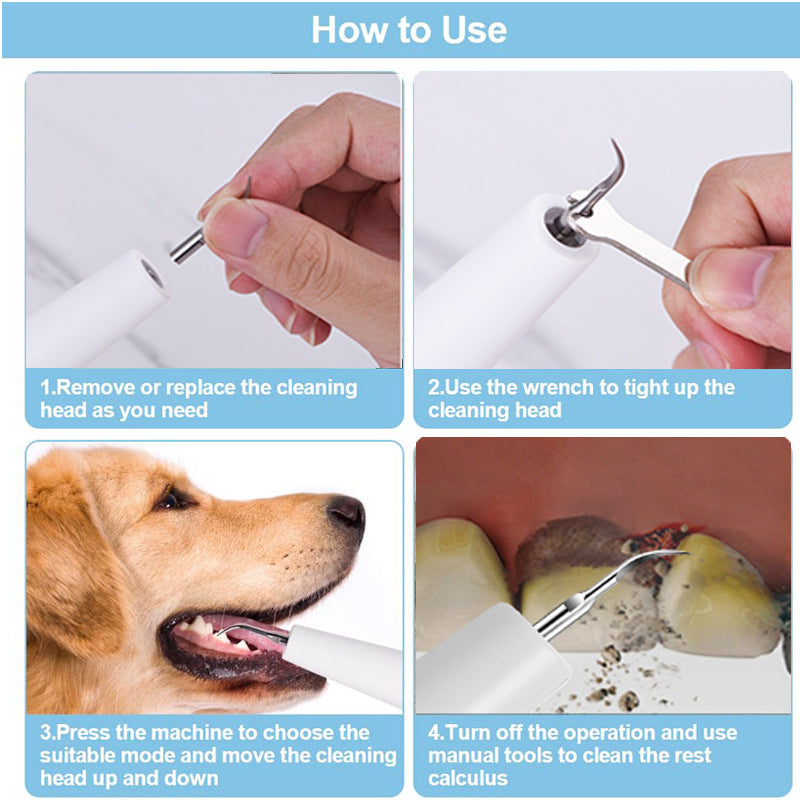 Dispositif de calcul dentaire pour chien, brosse à dents ultrasonique, détartreur électrique pour animaux de compagnie, outil de nettoyage des dents, Plaque, Kit de soins dentaires pour chien et chat
