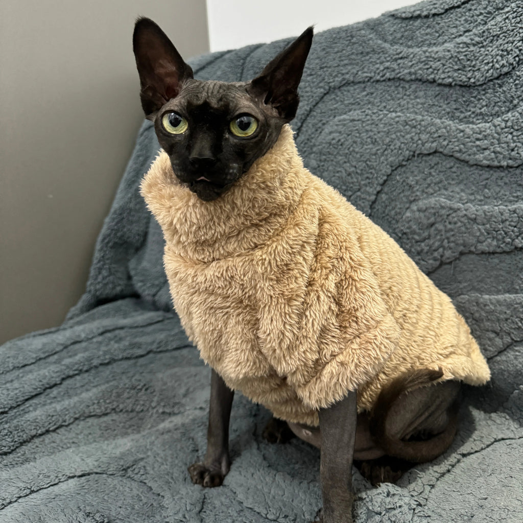 🐱 Pull Doux Luxe pour Chat – Vêtement Chaud Velours Automne Hiver