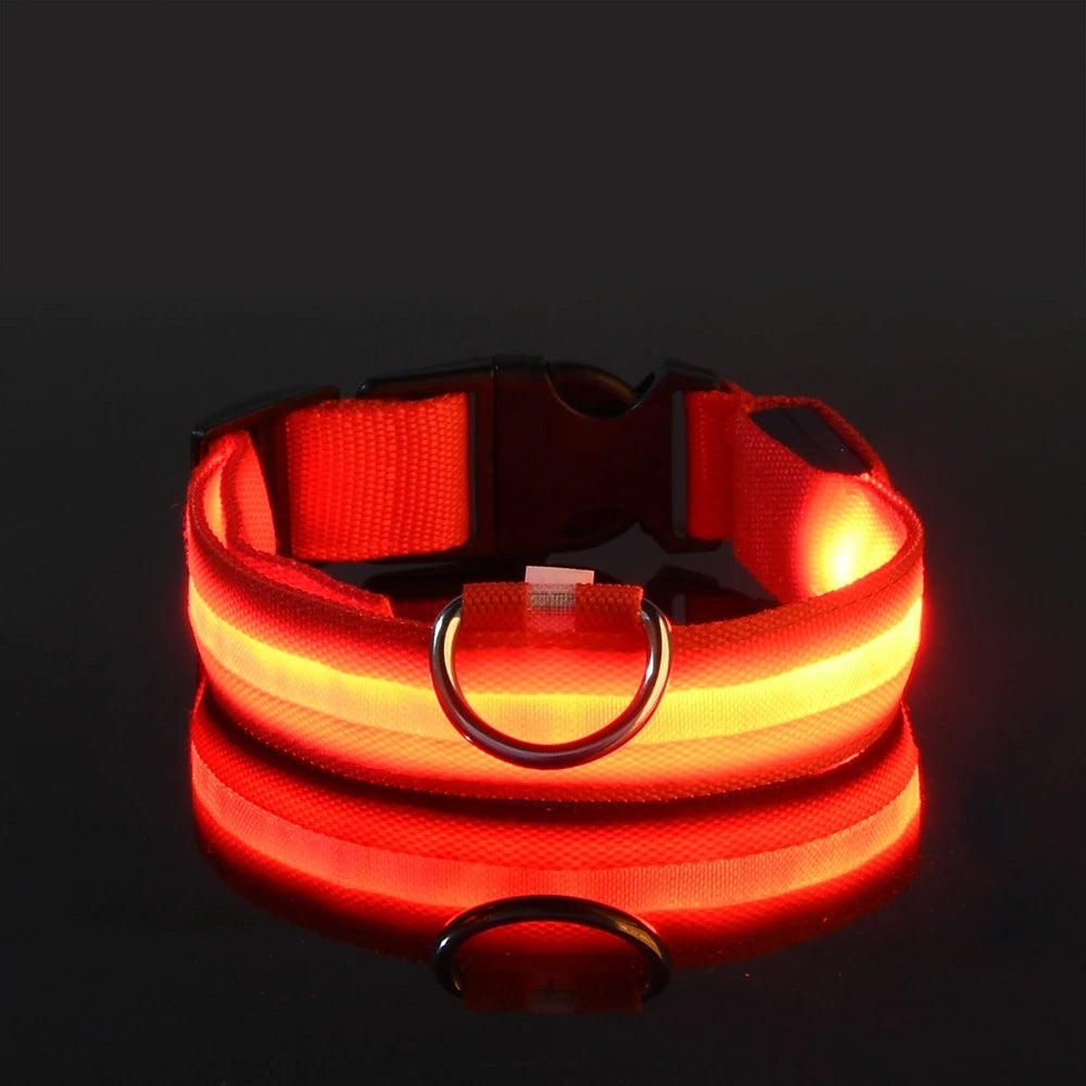 Laisse LED Clignotante Luxe pour Chien – Sécurité Nocturne & Lueur dans le Noir