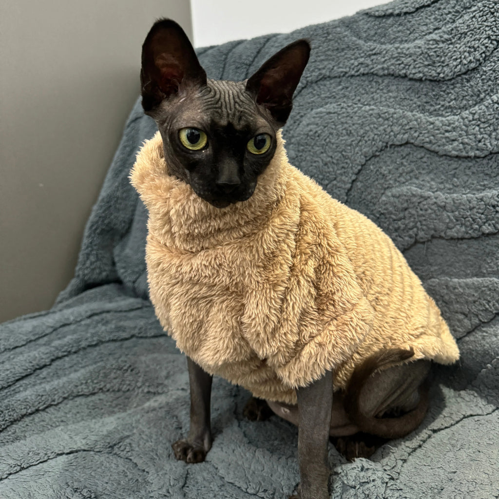 🐱 Pull Doux Luxe pour Chat – Vêtement Chaud Velours Automne Hiver