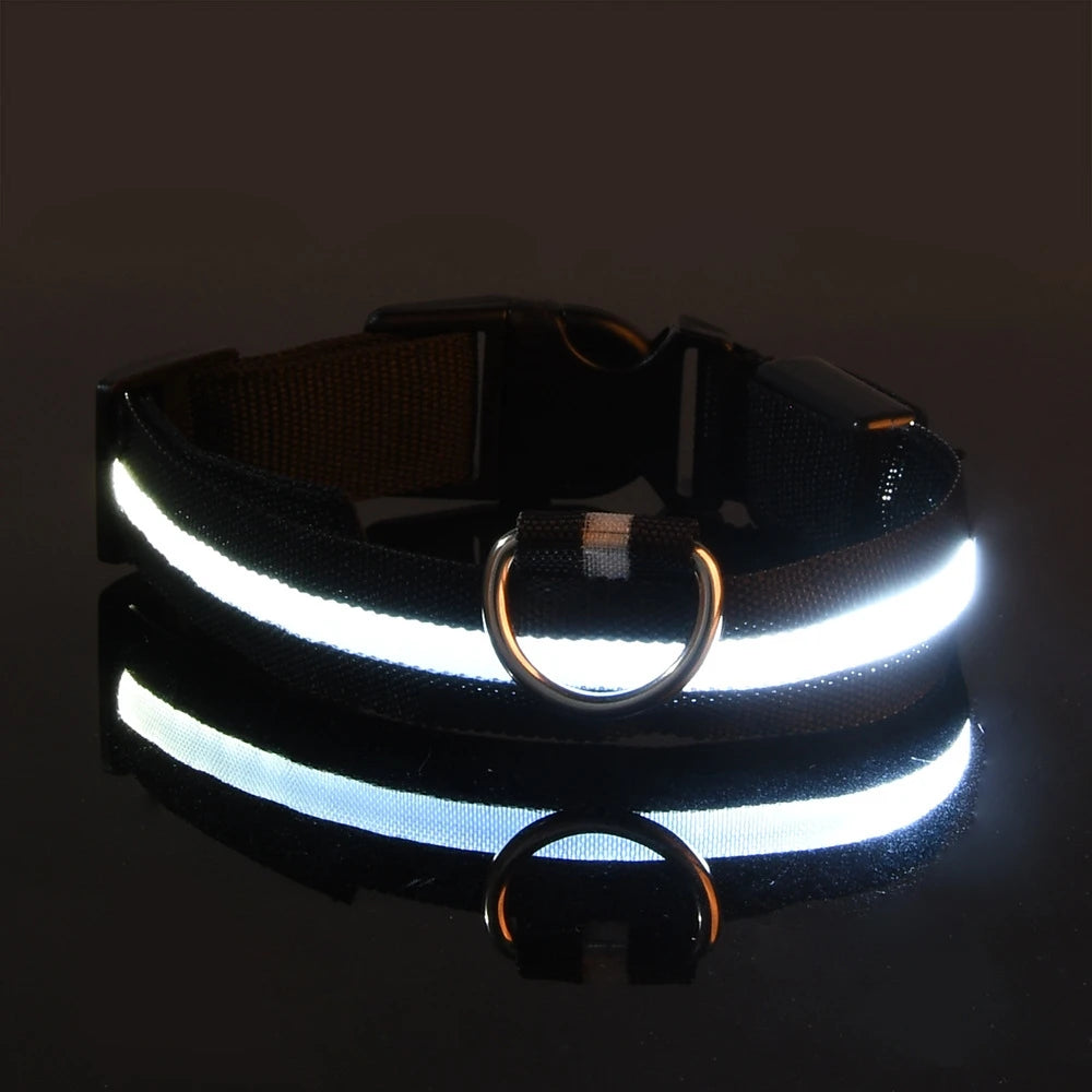 Laisse LED Clignotante Luxe pour Chien – Sécurité Nocturne & Lueur dans le Noir