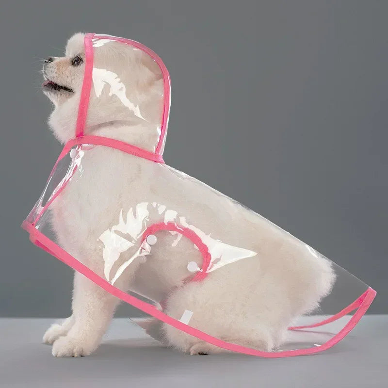 Imperméable Transparent pour Chien – Coupe-Vent XS à 8XL