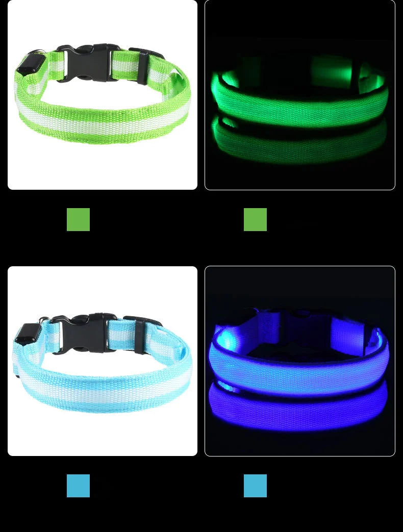Laisse LED Clignotante Luxe pour Chien – Sécurité Nocturne & Lueur dans le Noir