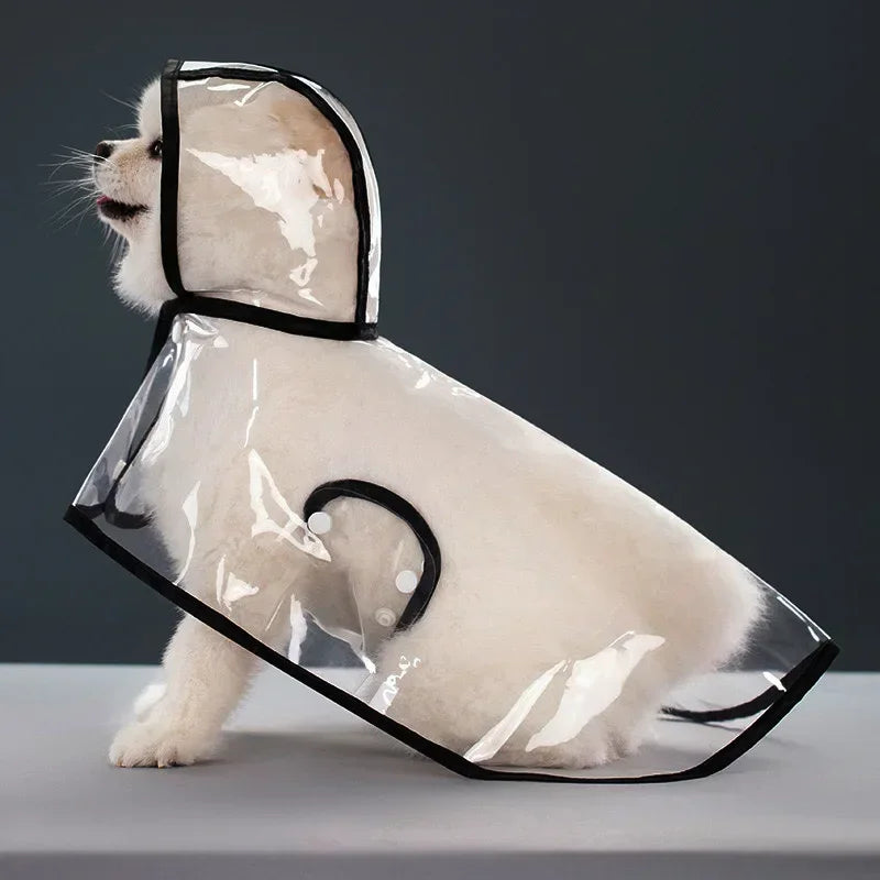 Imperméable Transparent pour Chien – Coupe-Vent XS à 8XL