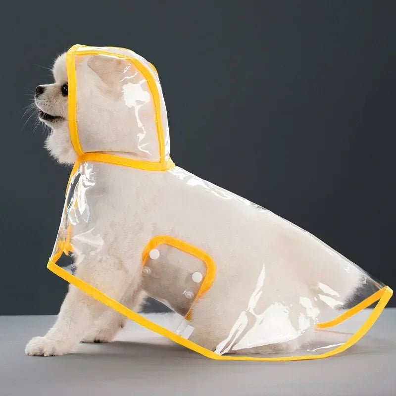 Imperméable Transparent pour Chien – Coupe-Vent XS à 8XL
