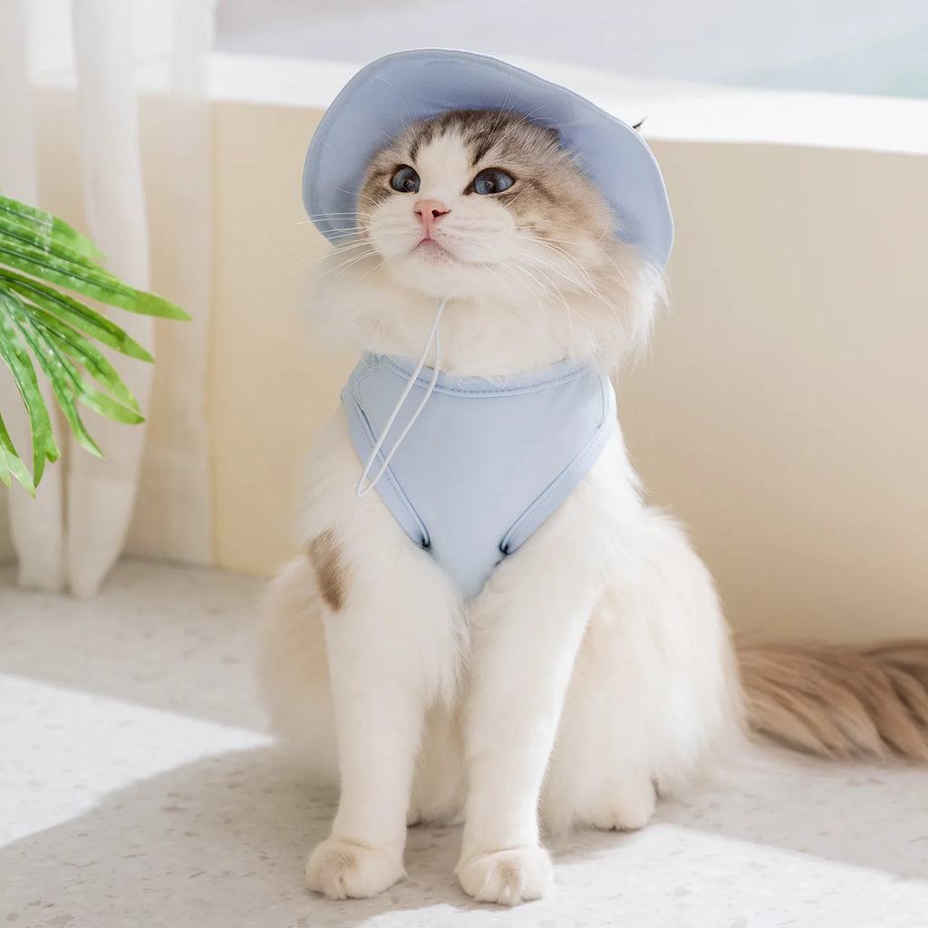 Ensemble Gilet Rafraîchissant pour Chien & Chat — Chapeau + Veste Respirante, Protection Solaire Été