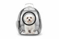 Sac à Dos Capsule Spatiale pour Animaux – Transparent & Respirant