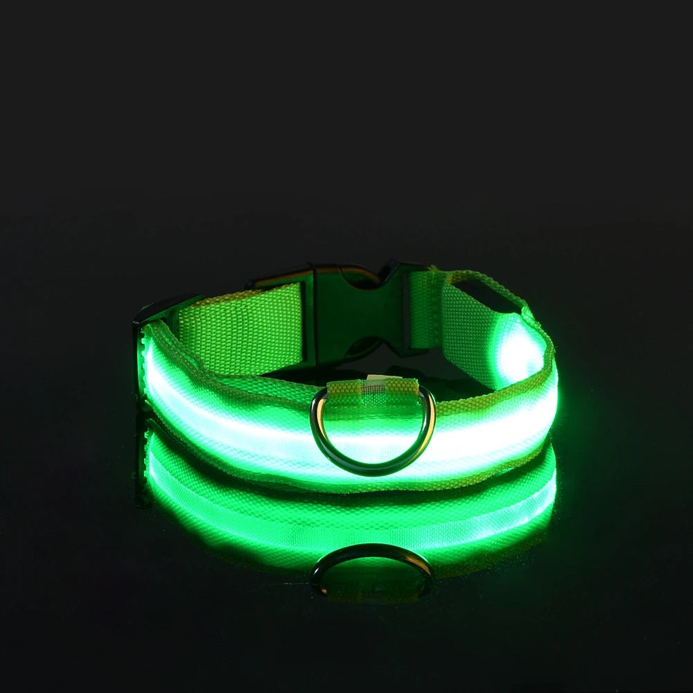 Laisse LED Clignotante Luxe pour Chien – Sécurité Nocturne & Lueur dans le Noir