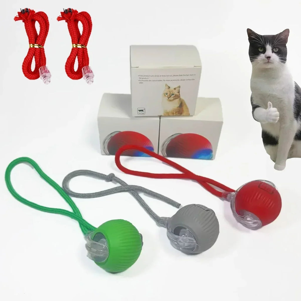 Balle Interactive Électrique pour Chat & Chien – Rechargeable