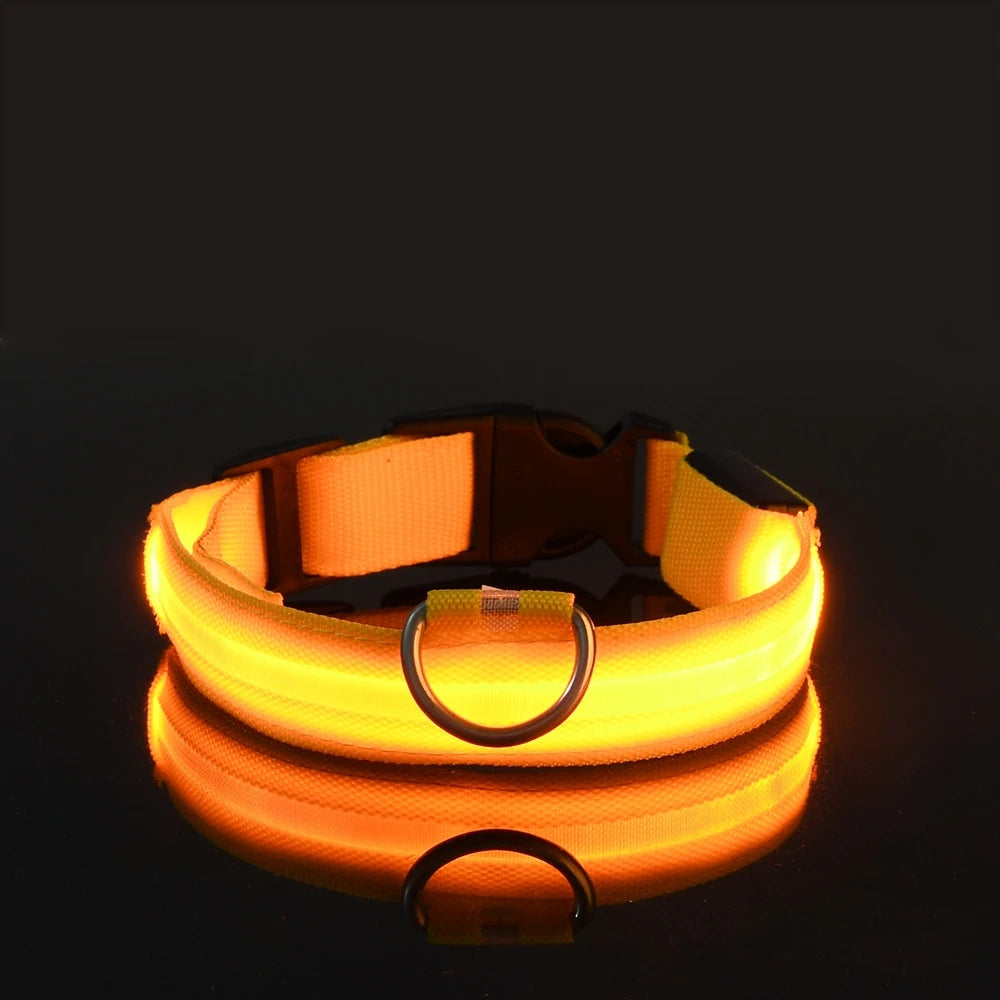 Laisse LED Clignotante Luxe pour Chien – Sécurité Nocturne & Lueur dans le Noir
