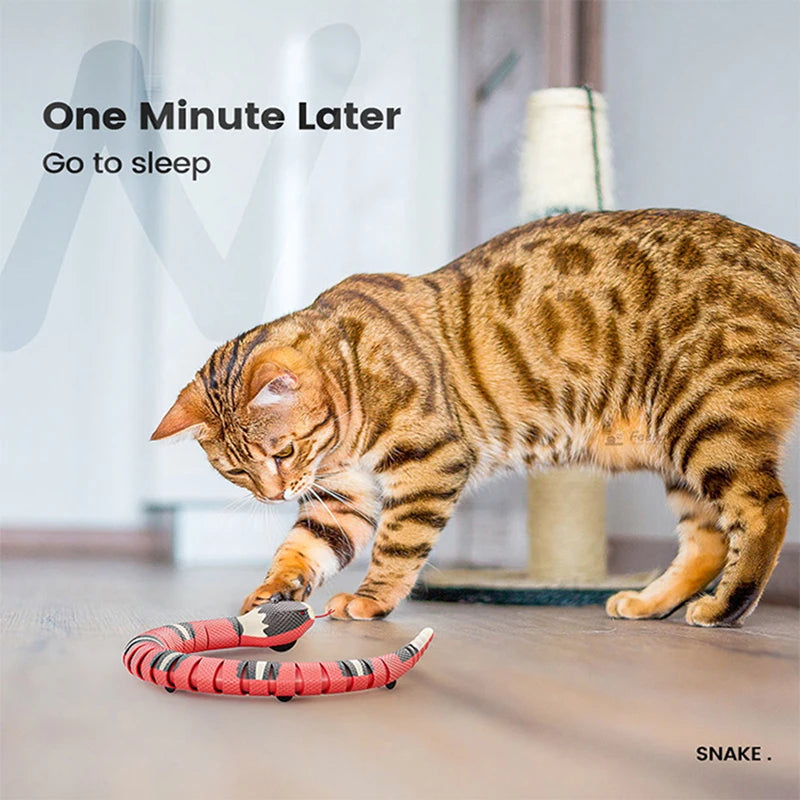 Jouet Serpent Interactif pour Chat – Détection Intelligente & Recharge USB