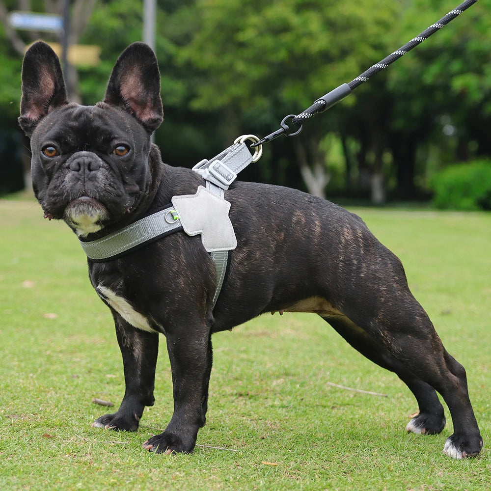 Harnais pour chien sans traction, gilet pour petits et moyens chiens, chats, randonnée, sangle de poitrine réglable et respirante, bouledogue, Chihuahua, accessoires pour animaux de compagnie