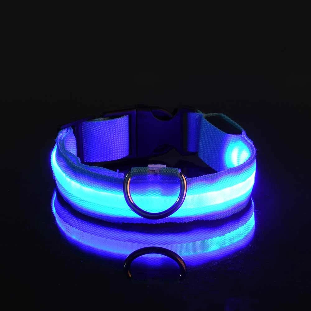 Laisse LED Clignotante Luxe pour Chien – Sécurité Nocturne & Lueur dans le Noir