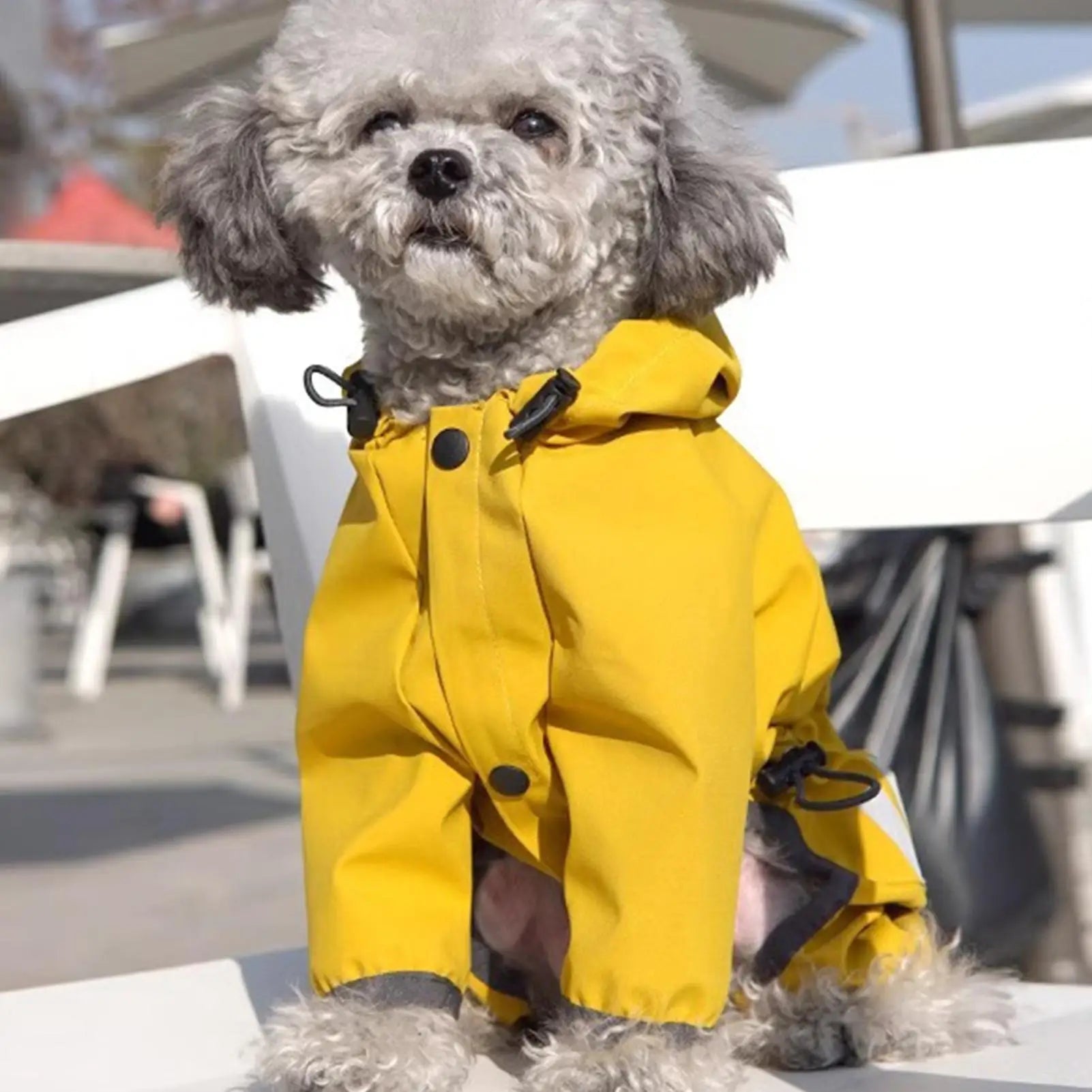 Manteau Imperméable pour Chien – Veste de Pluie Légère & Réglable