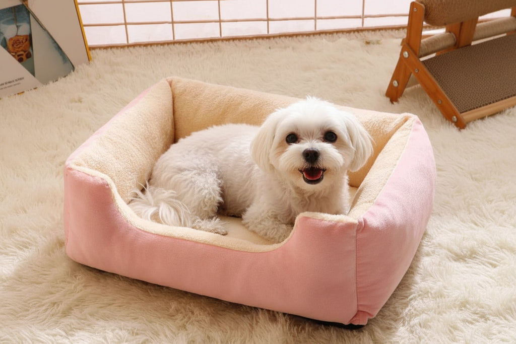 Panier Lit Luxe pour Chat & Chien – Coussin Moelleux Ultra-Doux S/M/L