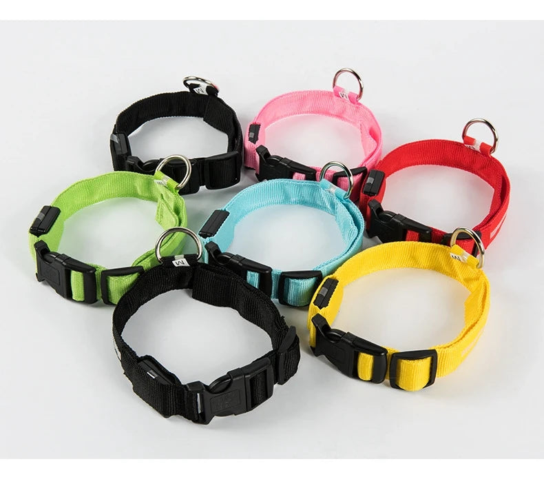 Laisse LED Clignotante Luxe pour Chien – Sécurité Nocturne & Lueur dans le Noir