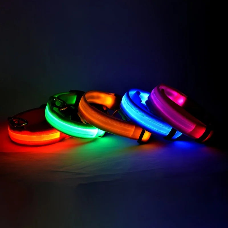 Laisse LED Clignotante Luxe pour Chien – Sécurité Nocturne & Lueur dans le Noir