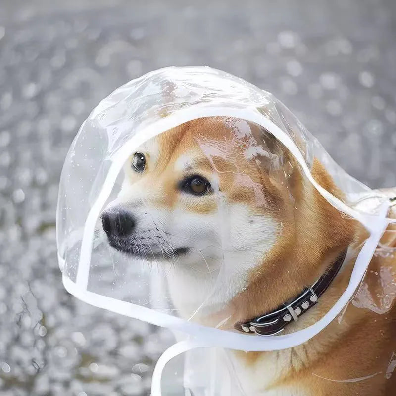 Imperméable Transparent pour Chien – Coupe-Vent XS à 8XL