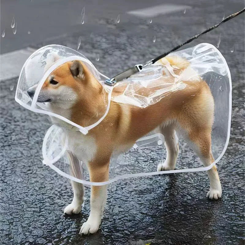 Imperméable Transparent pour Chien – Coupe-Vent XS à 8XL