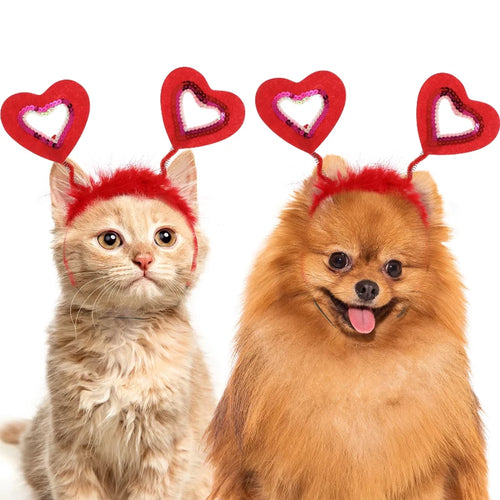 Vêtements de sauna de Noël pour animaux de compagnie, bande de sauna Love pour chat et chien, accessoires pour cheveux pour animaux de compagnie, fournitures Kiev illage de fête, jour de Léon