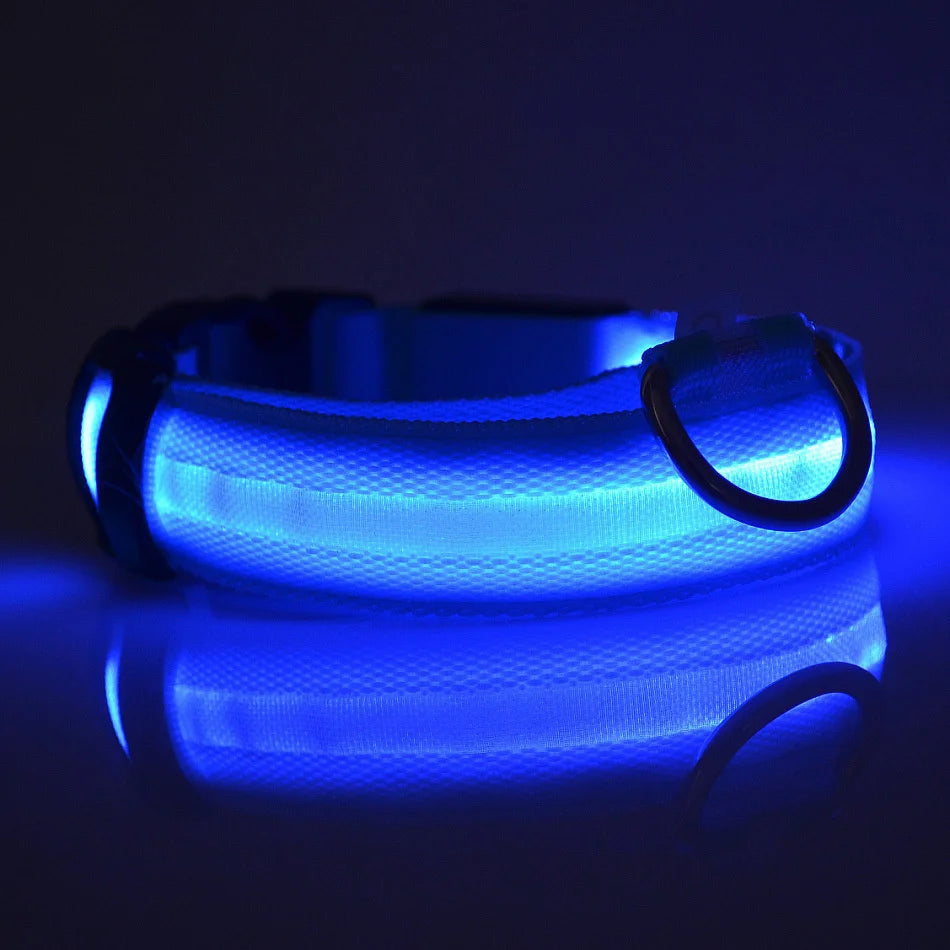 Laisse LED Clignotante Luxe pour Chien – Sécurité Nocturne & Lueur dans le Noir