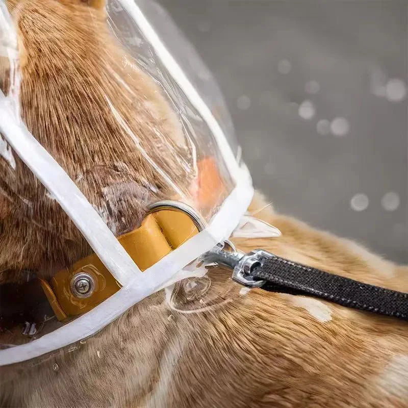 Imperméable Transparent pour Chien – Coupe-Vent XS à 8XL