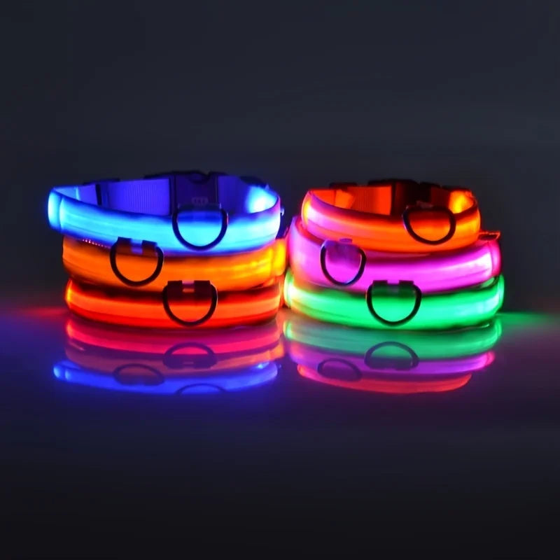 Laisse LED Clignotante Luxe pour Chien – Sécurité Nocturne & Lueur dans le Noir