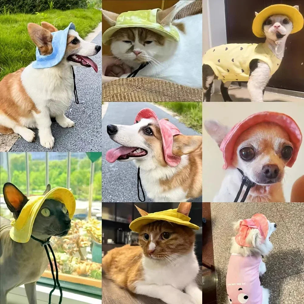 Chapeau d'Été pour Chien & Chat | Casquette Réglable Anti-UV avec Trous d'Oreille