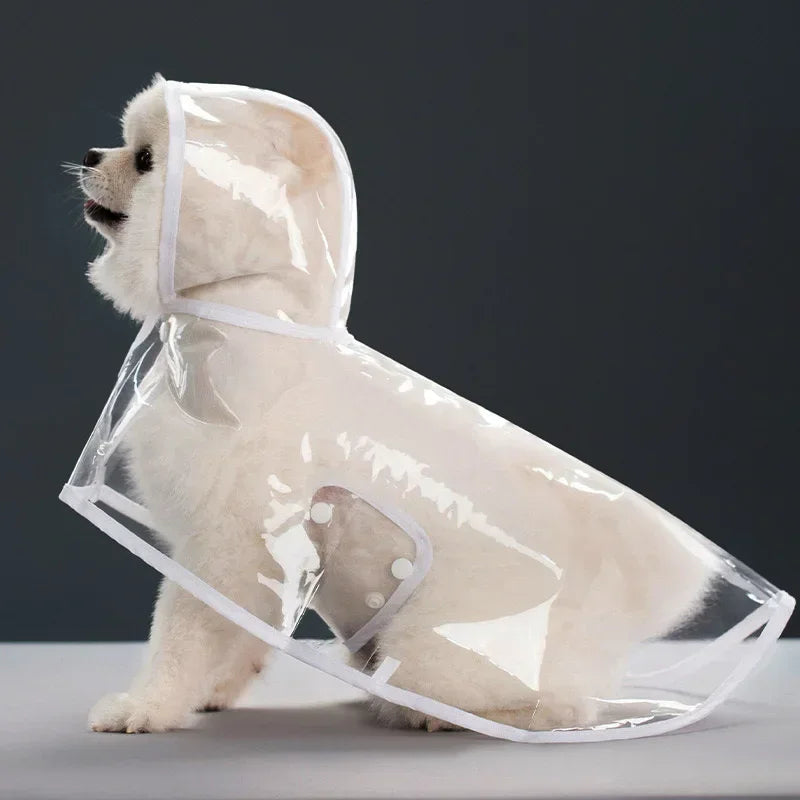 Imperméable Transparent pour Chien – Coupe-Vent XS à 8XL