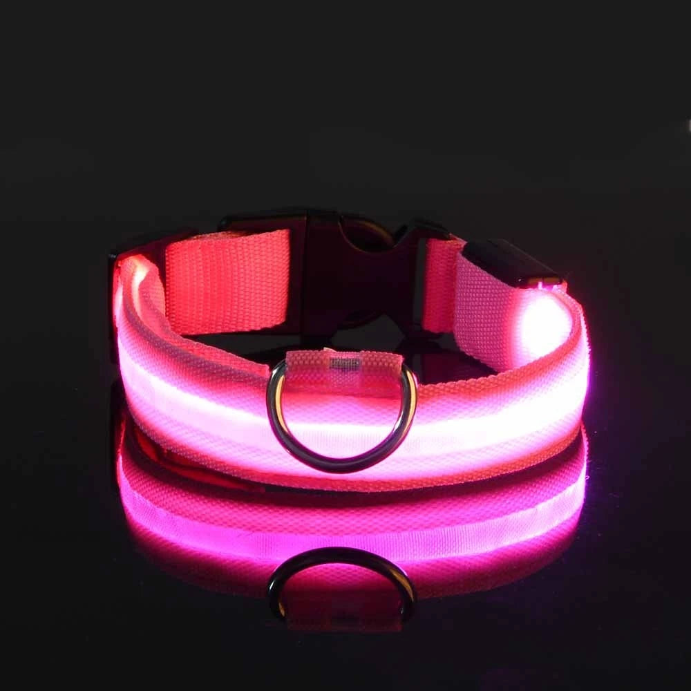 Laisse LED Clignotante Luxe pour Chien – Sécurité Nocturne & Lueur dans le Noir