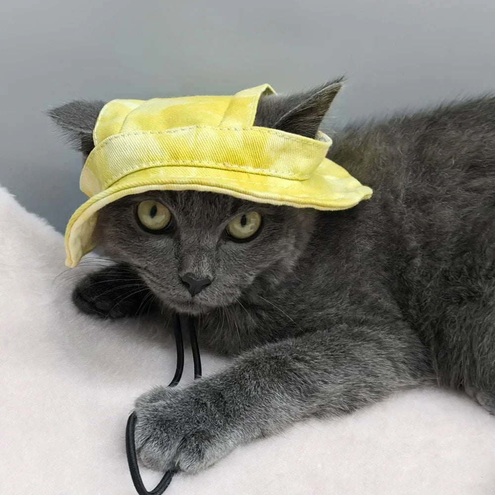 Chapeau d'Été pour Chien & Chat | Casquette Réglable Anti-UV avec Trous d'Oreille