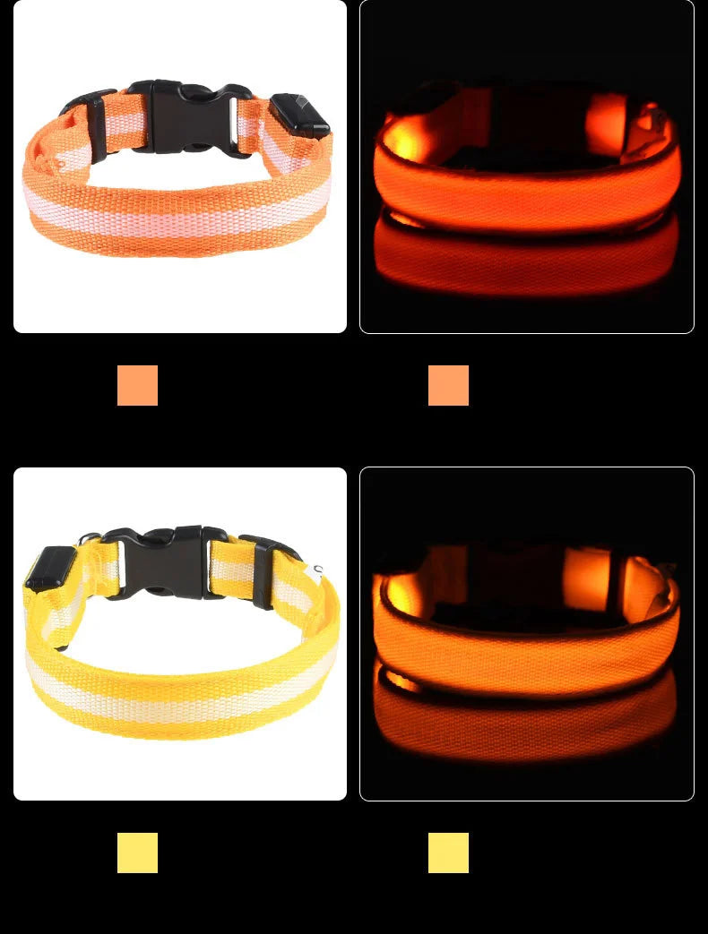 Laisse LED Clignotante Luxe pour Chien – Sécurité Nocturne & Lueur dans le Noir