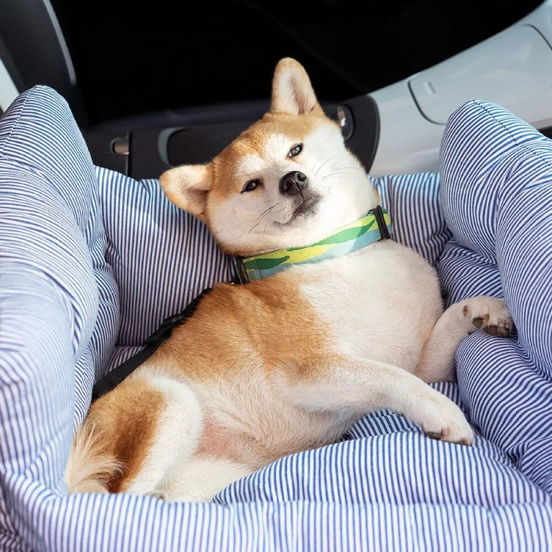 Siège de Sécurité Premium pour Animaux de Compagnie – Confort & Sécurité en Voyage