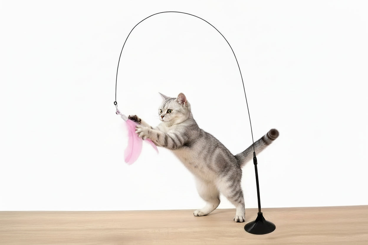 Jouet Interactif Chat Luxe — Baguette Plumes & Cloche