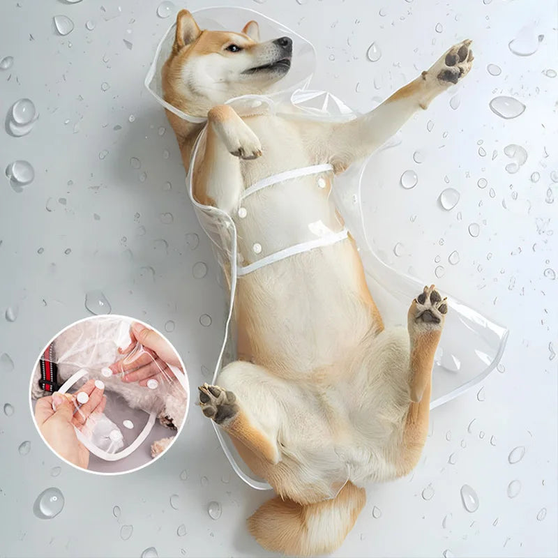 Imperméable Transparent pour Chien – Coupe-Vent XS à 8XL