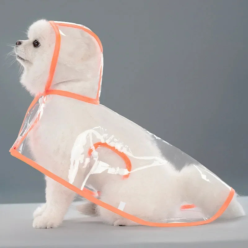 Imperméable Transparent pour Chien – Coupe-Vent XS à 8XL