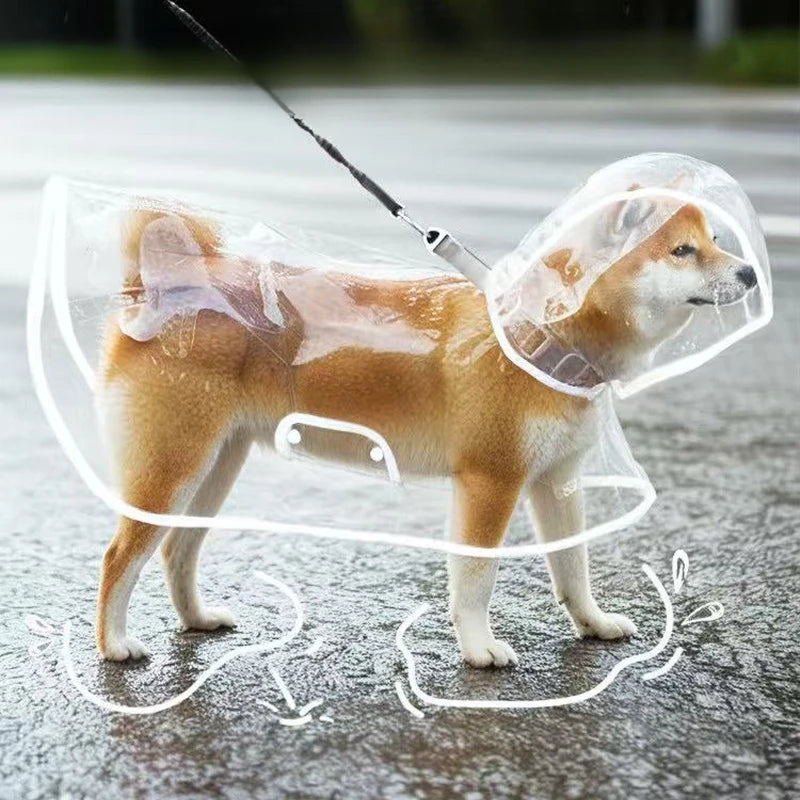 Imperméable Transparent pour Chien – Coupe-Vent XS à 8XL