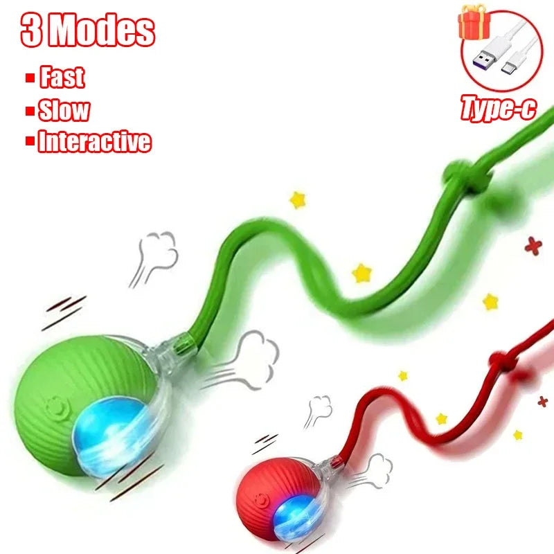 Balle Interactive Électrique pour Chat & Chien – Rechargeable