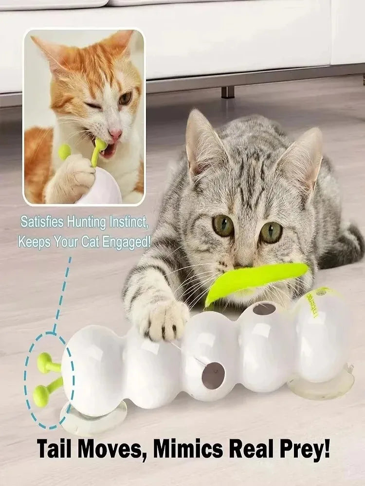 Jouet Interactif Premium pour Chat & Petit Chien – Détection de Mouvement & Recharge USB