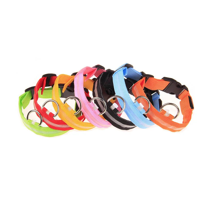 Laisse LED Clignotante Luxe pour Chien – Sécurité Nocturne & Lueur dans le Noir