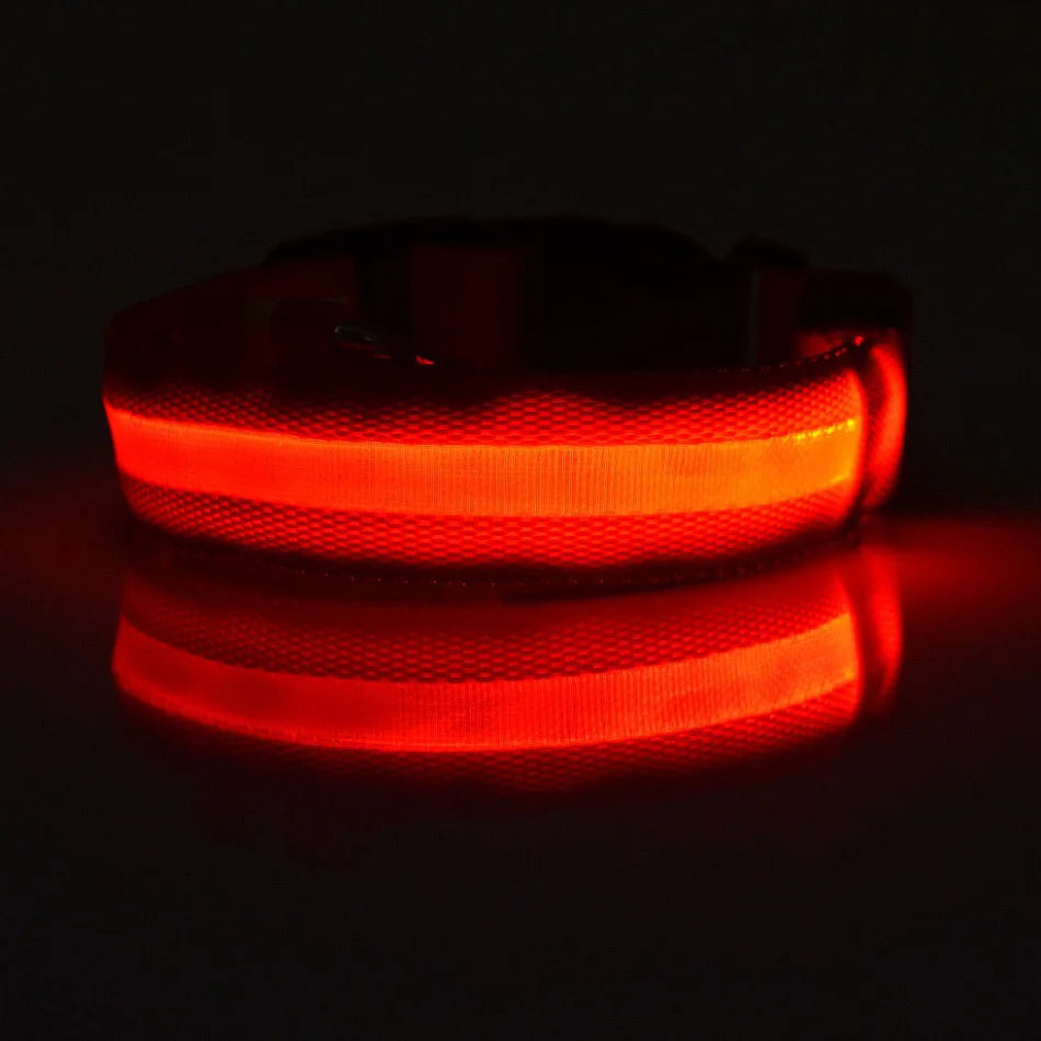 Laisse LED Clignotante Luxe pour Chien – Sécurité Nocturne & Lueur dans le Noir