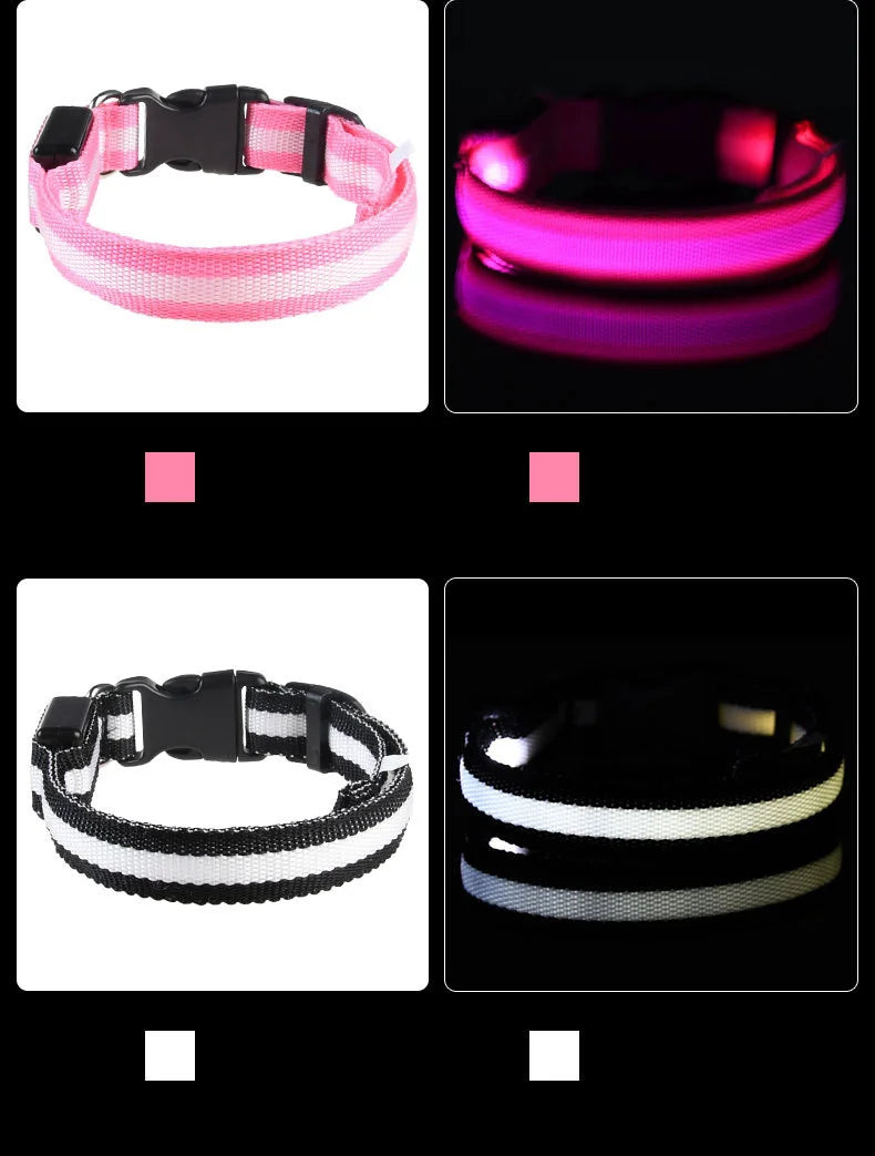 Laisse LED Clignotante Luxe pour Chien – Sécurité Nocturne & Lueur dans le Noir