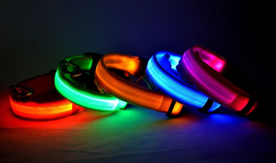 Laisse LED Clignotante Luxe pour Chien – Sécurité Nocturne & Lueur dans le Noir