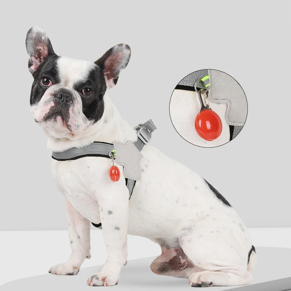 Harnais pour chien sans traction, gilet pour petits et moyens chiens, chats, randonnée, sangle de poitrine réglable et respirante, bouledogue, Chihuahua, accessoires pour animaux de compagnie