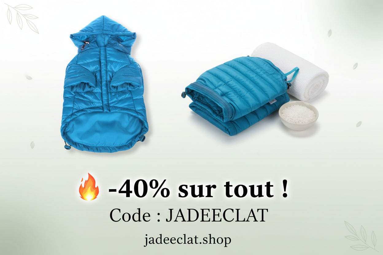 Manteau Imperméable pour Chien – Léger & Ajustable