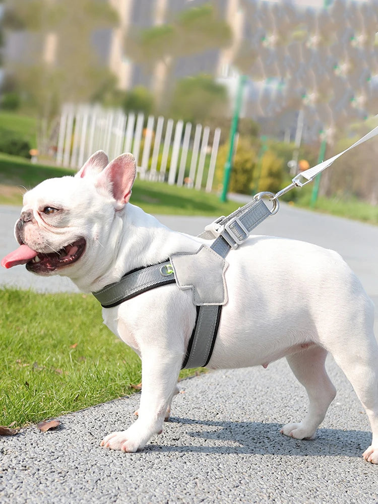 Harnais pour chien sans traction, gilet pour petits et moyens chiens, chats, randonnée, sangle de poitrine réglable et respirante, bouledogue, Chihuahua, accessoires pour animaux de compagnie
